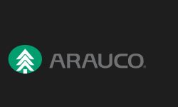 Arauco
